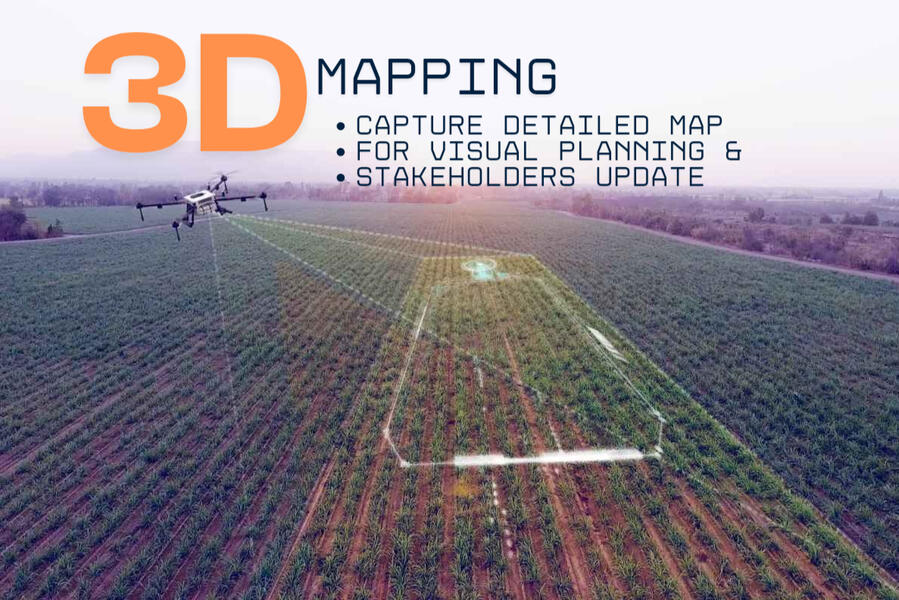 **3D Mapping**